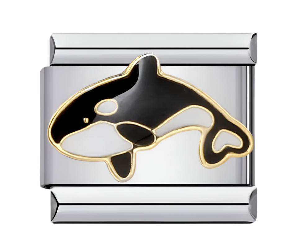 Charm Orca