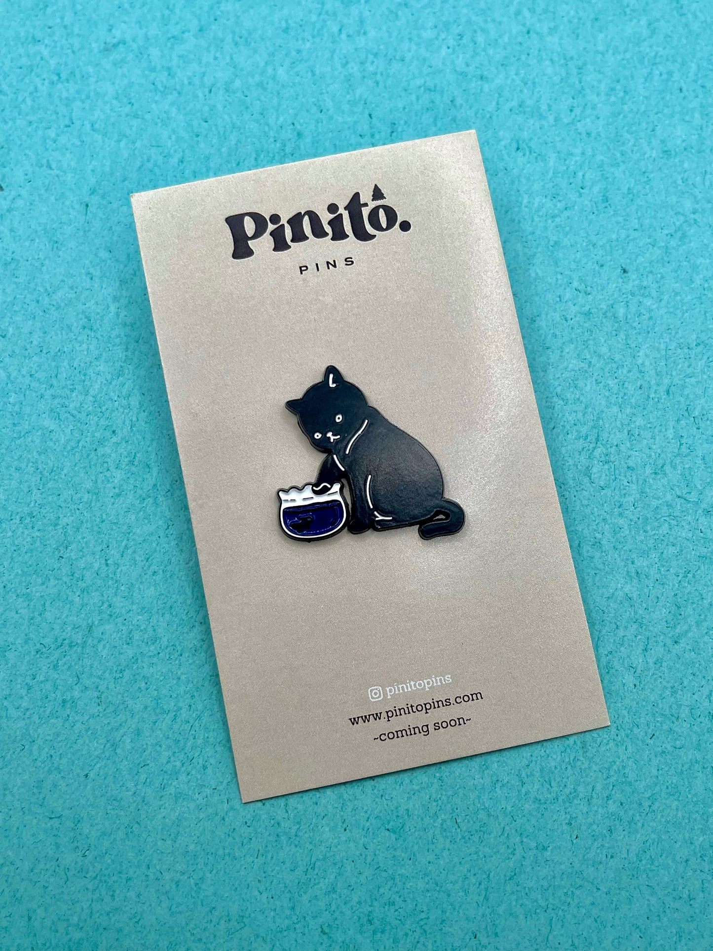 Gatito curioso