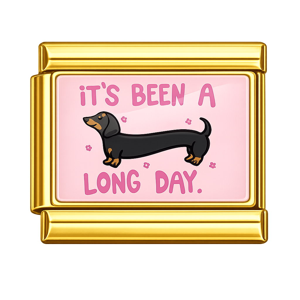 Charm Dachshund - long day