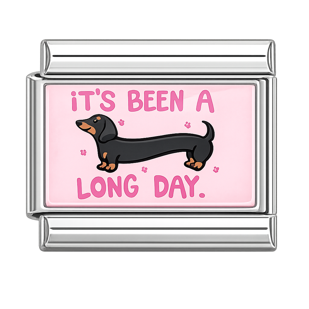 Charm Dachshund - long day