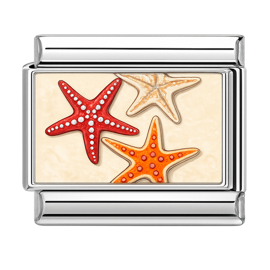 Charm estrellas de mar