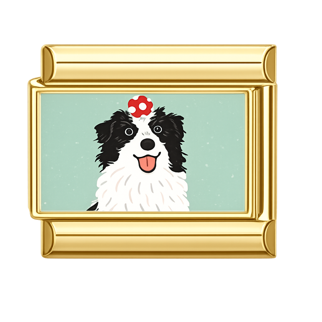 Charm Border Collie II