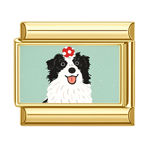 Charm Border Collie II