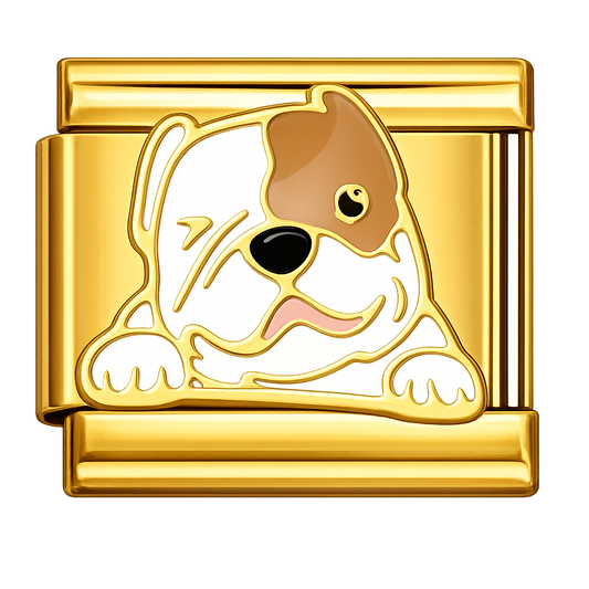 Charm Bulldog Ingles