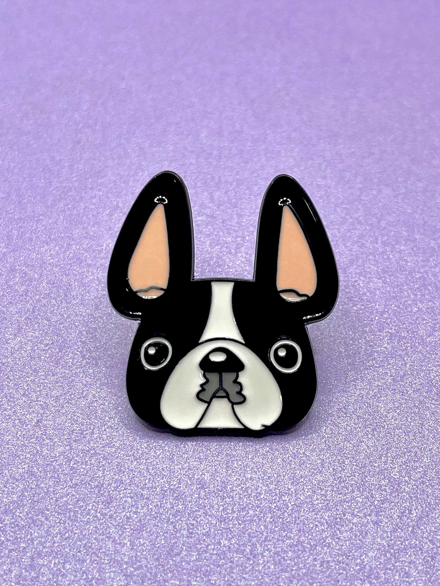 Boston Terrier