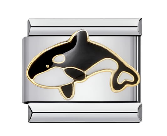 Charm Orca