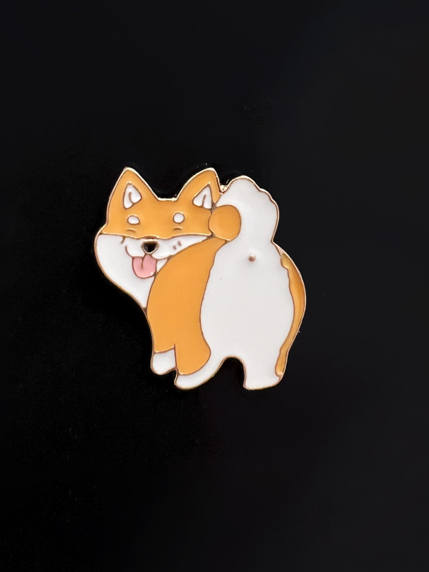 Corgi